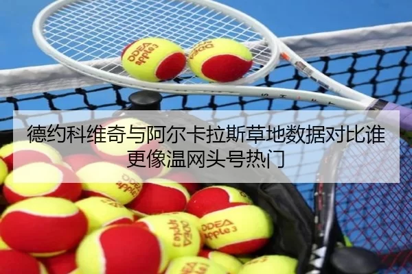 德约科维奇与阿尔卡拉斯草地数据对比谁更像温网头号热门